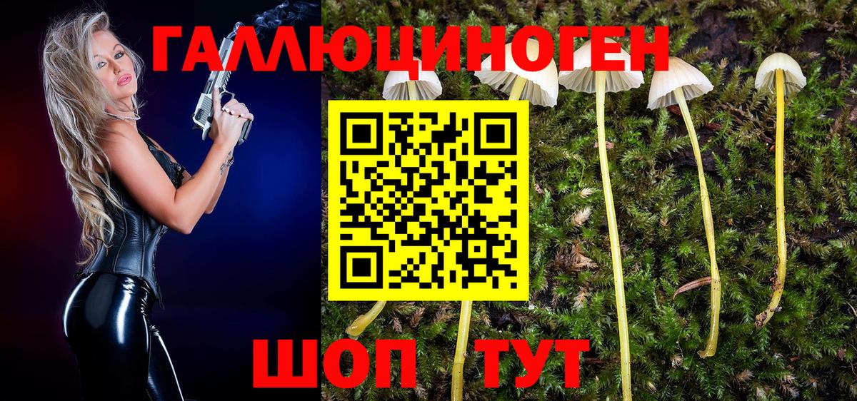 Галлюциногенные грибы мухоморы Удомля